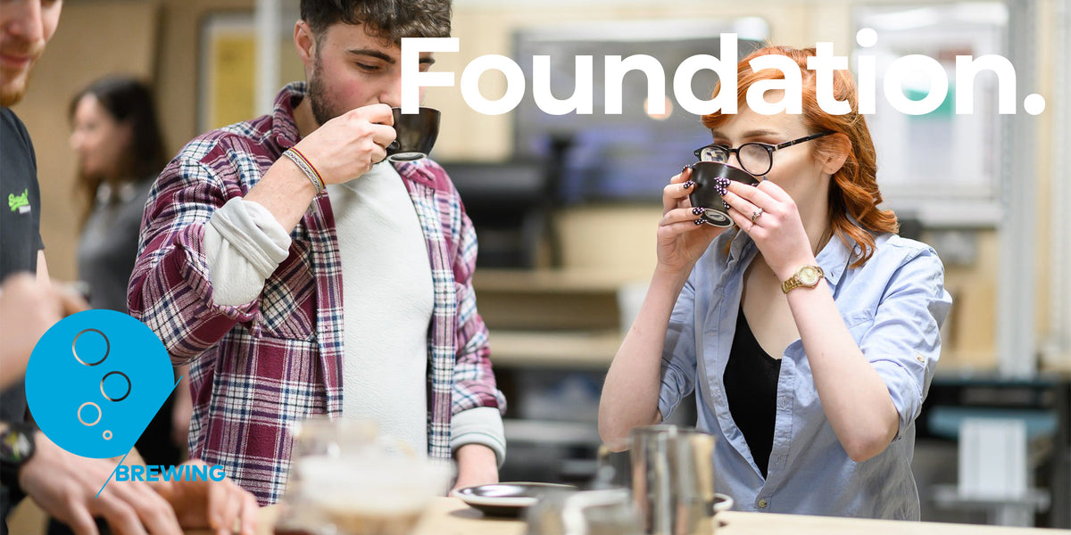 SCA Brewing Foundation – PLOT Roasting