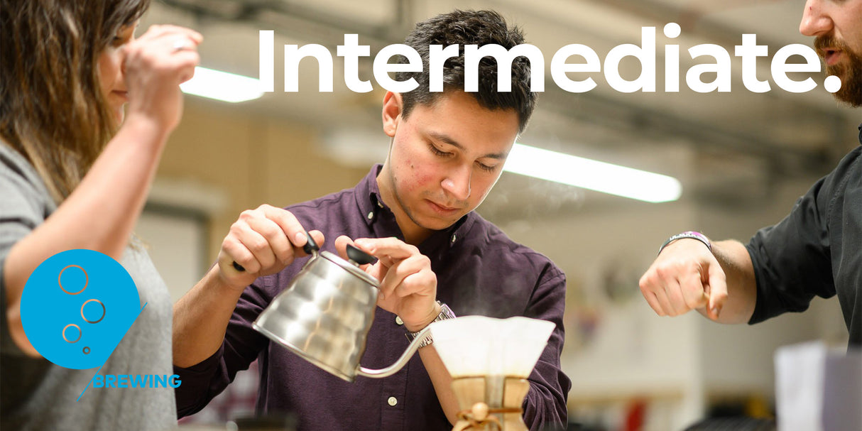 SCA Brewing Intermediate