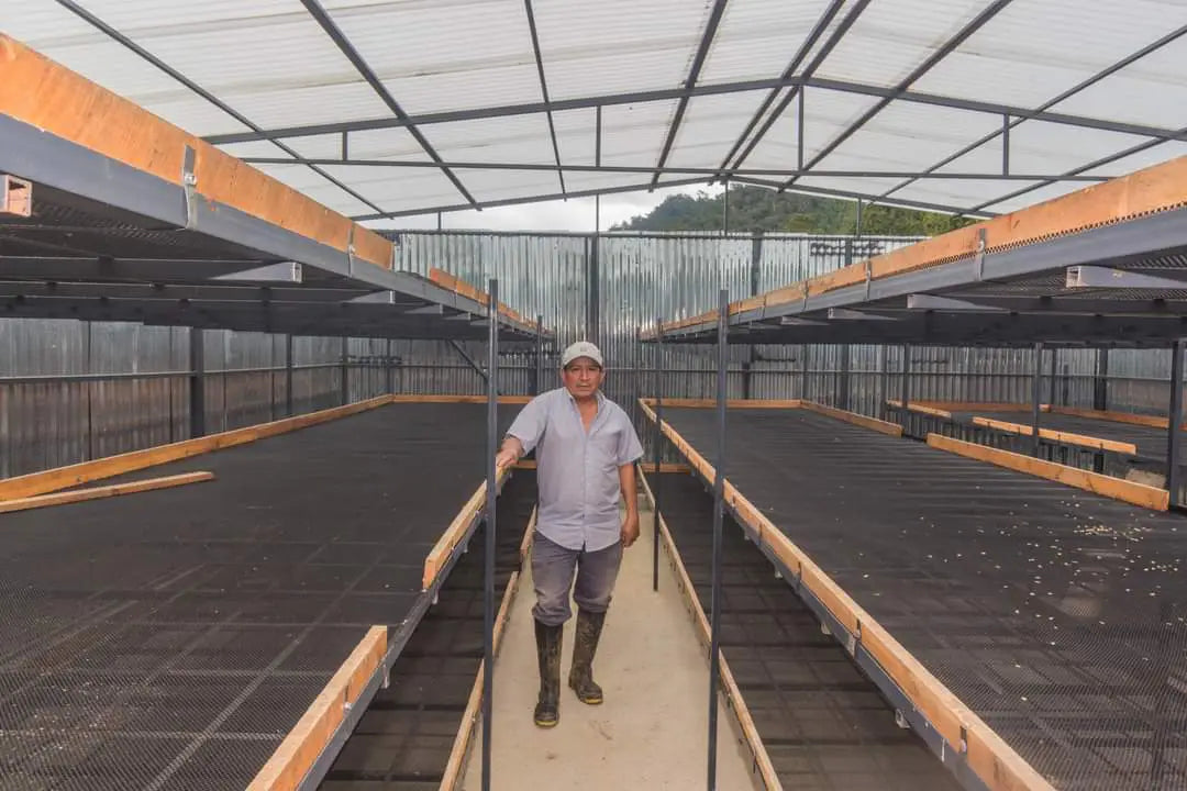 Franco Huaches in his coffee drying structure on La Lacuma farm, Peru