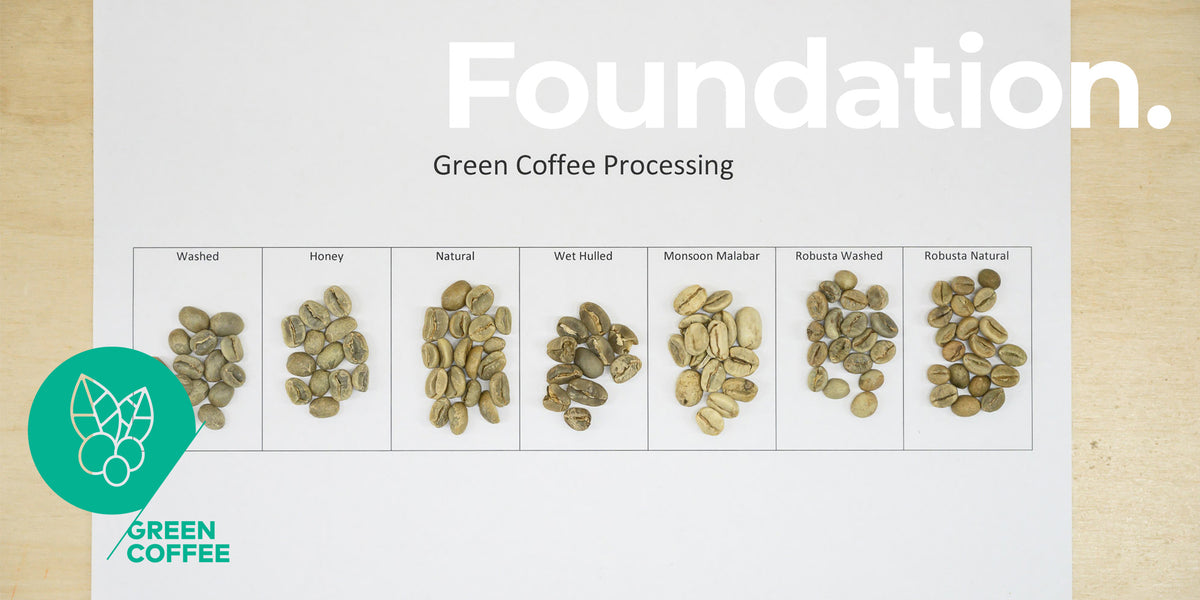 SCA Green Coffee Foundation – PLOT Roasting