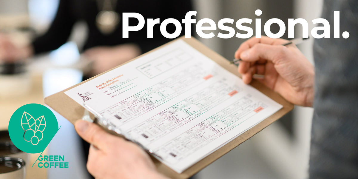 SCA Green Coffee Professional – PLOT Roasting