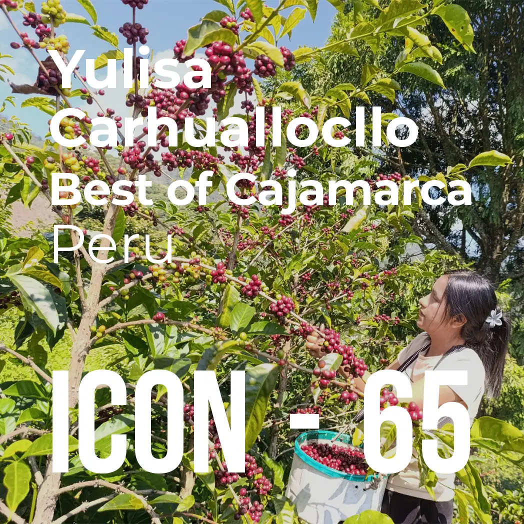 ICON 65 - Yulisa Carhuallocllo, Best of Cajamarca #1