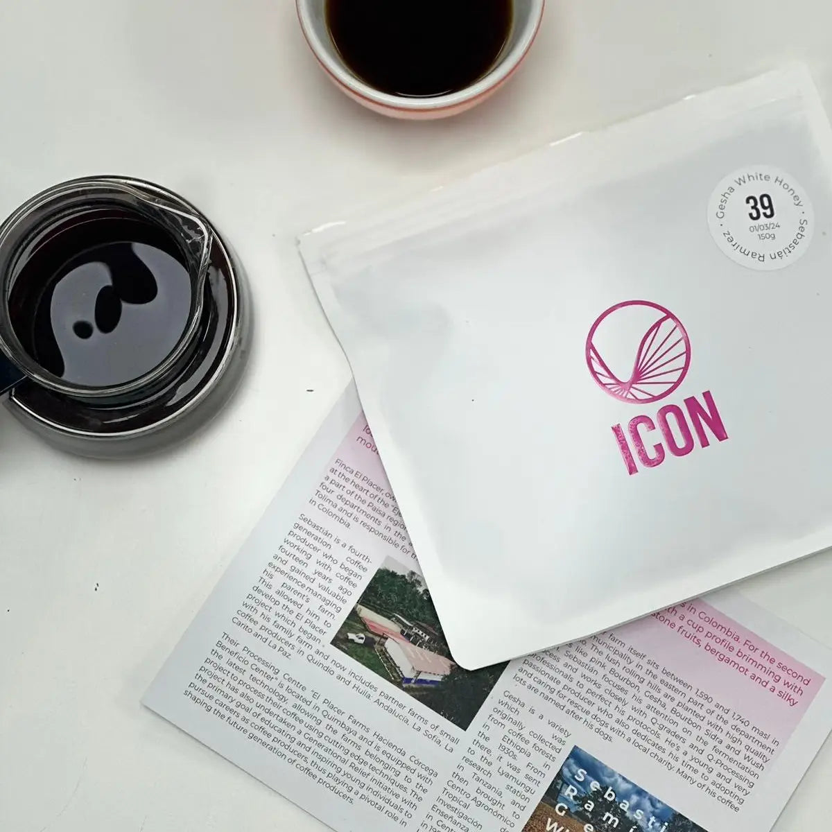 ICON Series Subscription - BRAND AMBASSADOR