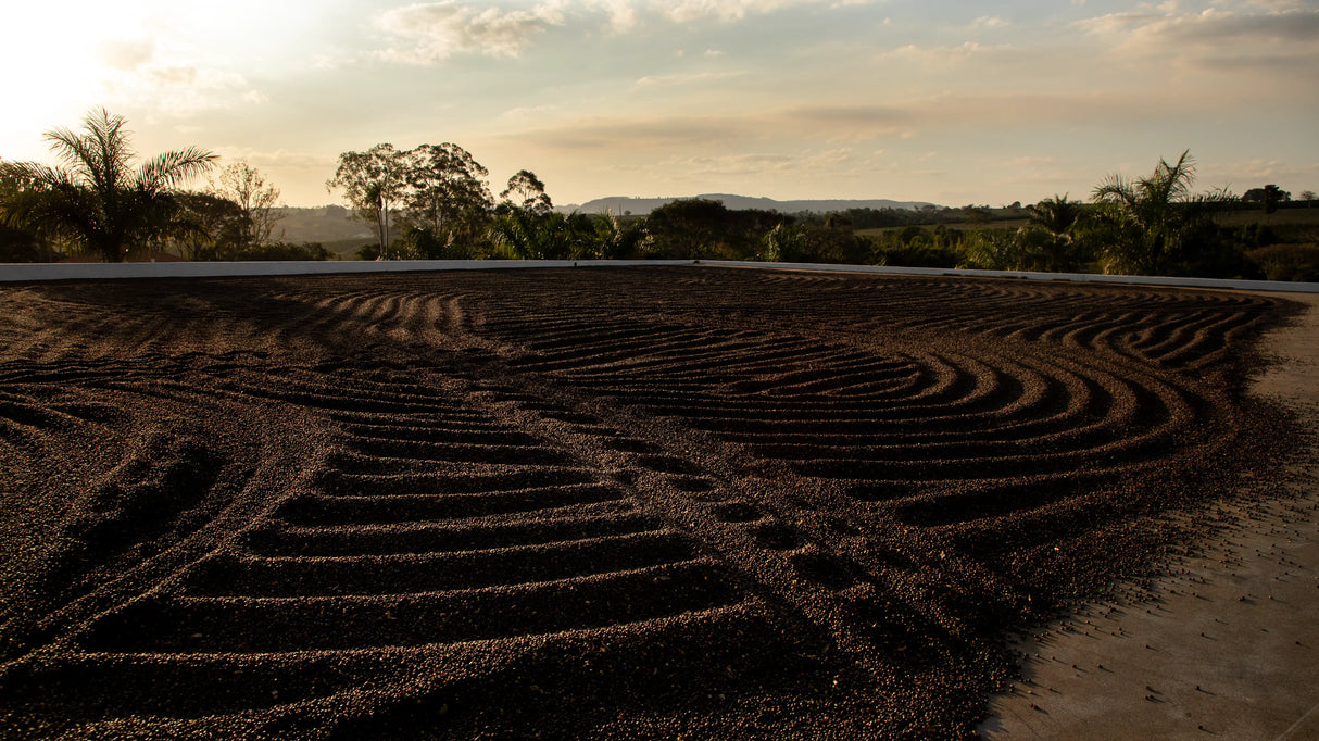 MIÓ, Chápela Yeast Fermentation Natural