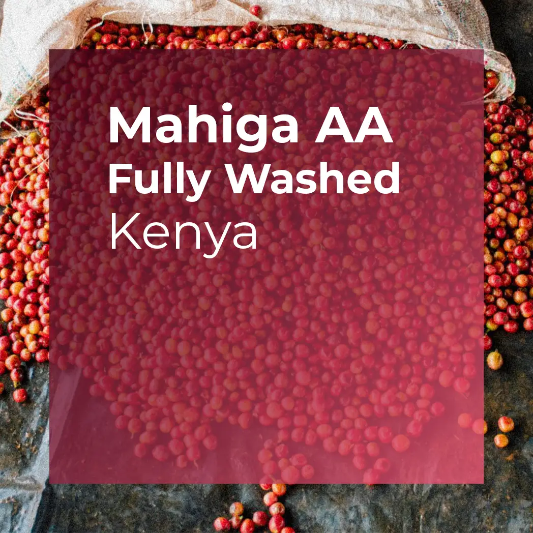MAHIGA AA, Fully Washed