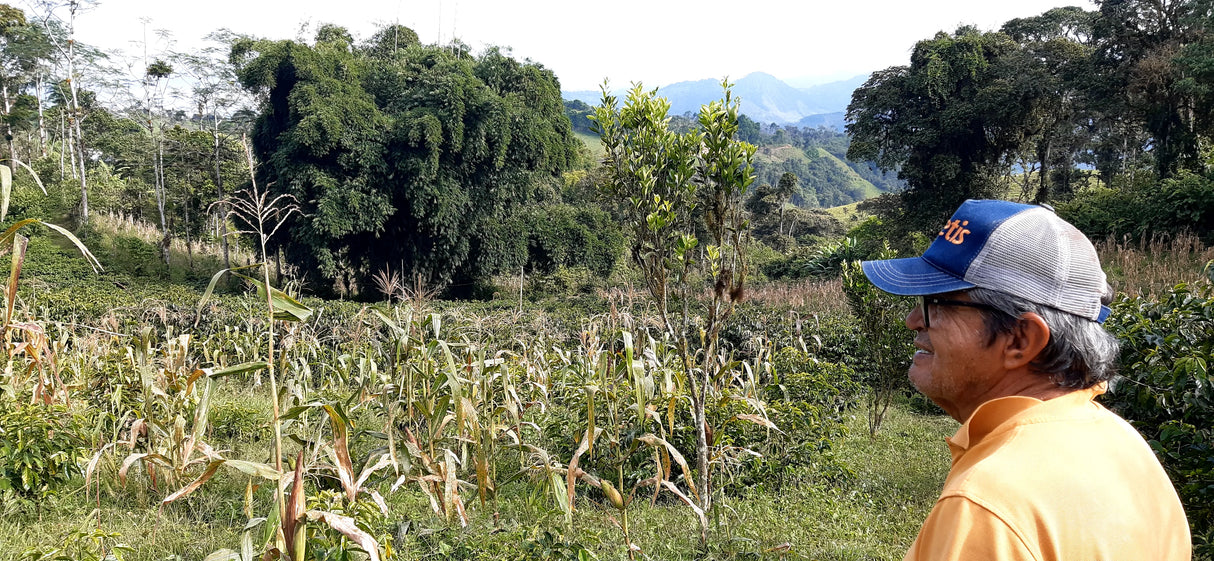 Henry Gaibor observing the lush green landscape at Finca Maputo coffee farm, Ecuador