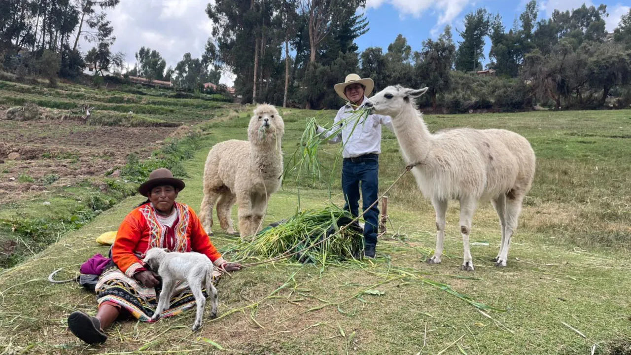 Marcelino Chinguel and his wife Grimanes feeding their animals on their coffee farm