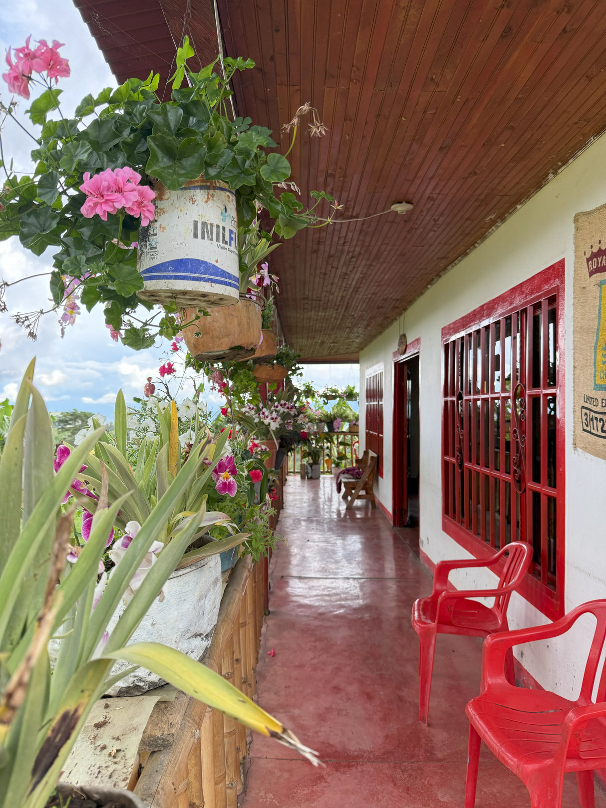 RIGO CUELLAR, Washed Pacamara