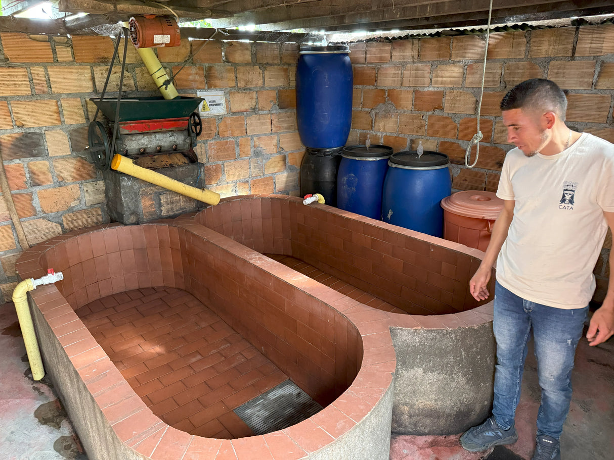 RIGO CUELLAR, Washed Pacamara