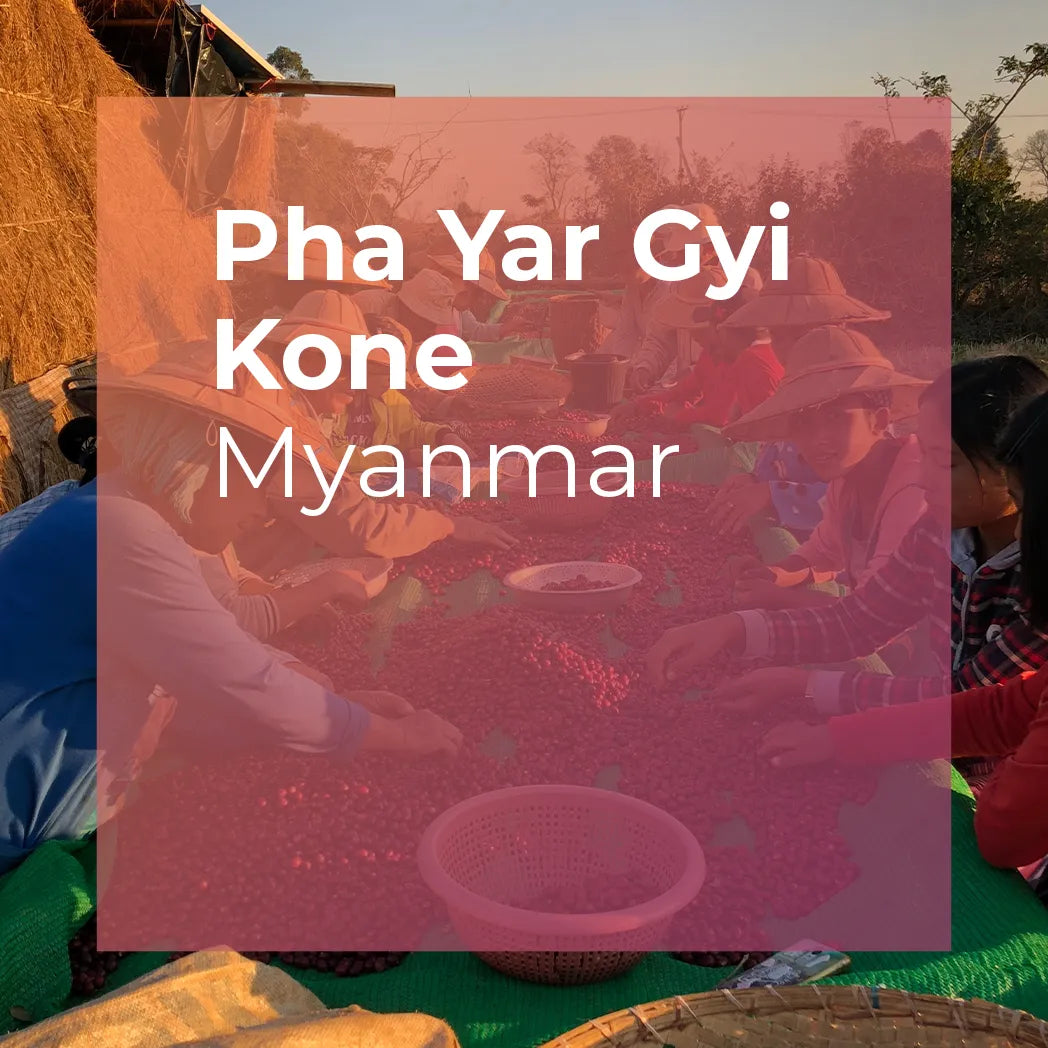 PHA YAR GYI KONE, Community Lot