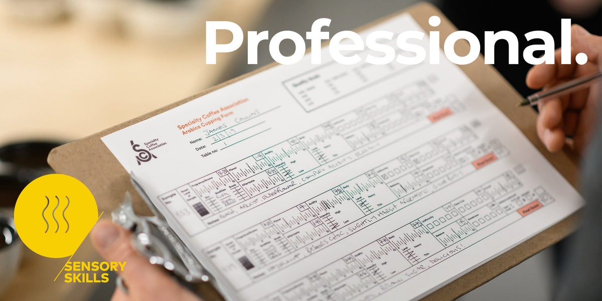 SCA Sensory Skills Professional – PLOT Roasting