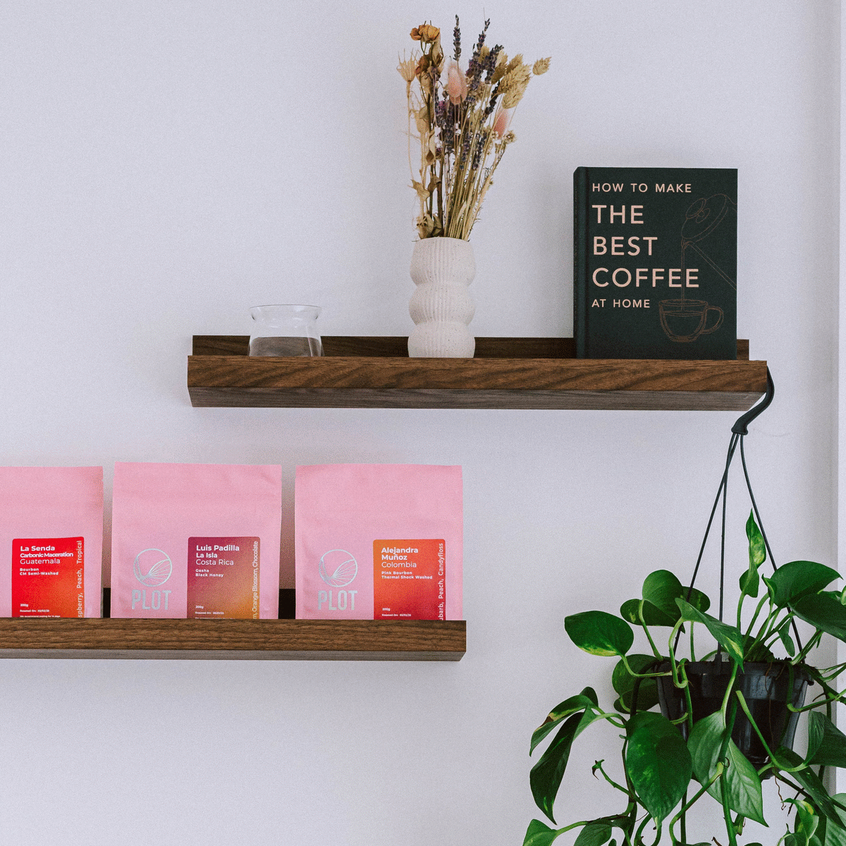 Speciality coffee – PLOT Roasting