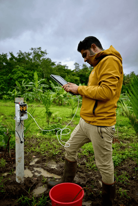 Akshay Dashrath, restless innovator at Mooleh Manay Estate, checking data from environmental sensors amongst the coffee trees.
