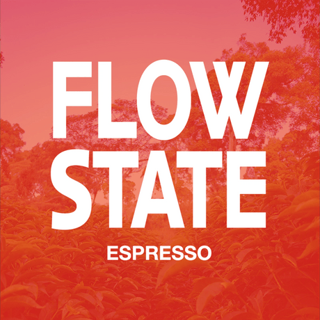Product thumbnail image for FLOW STATE Espresso, a washed Sidama coffee from Ethiopia