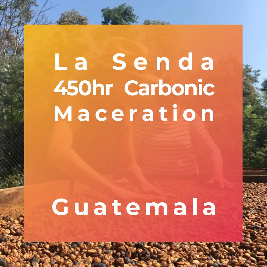 LA SENDA, 450hr Carbonic Maceration