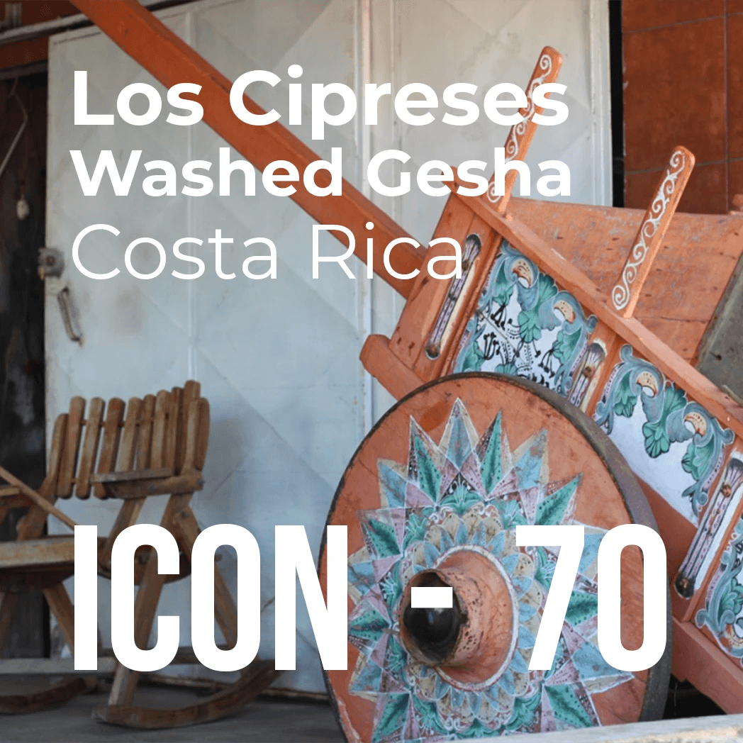 ICON 70 - Los Cipreses, Washed Gesha