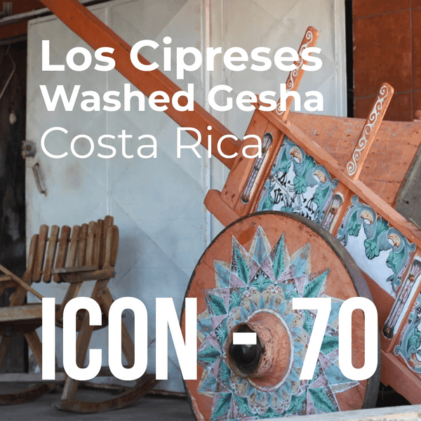 Product thumbnail for ICON Limited Release coffee 70: Los Cipreses Washed Gesha from Costa Rica