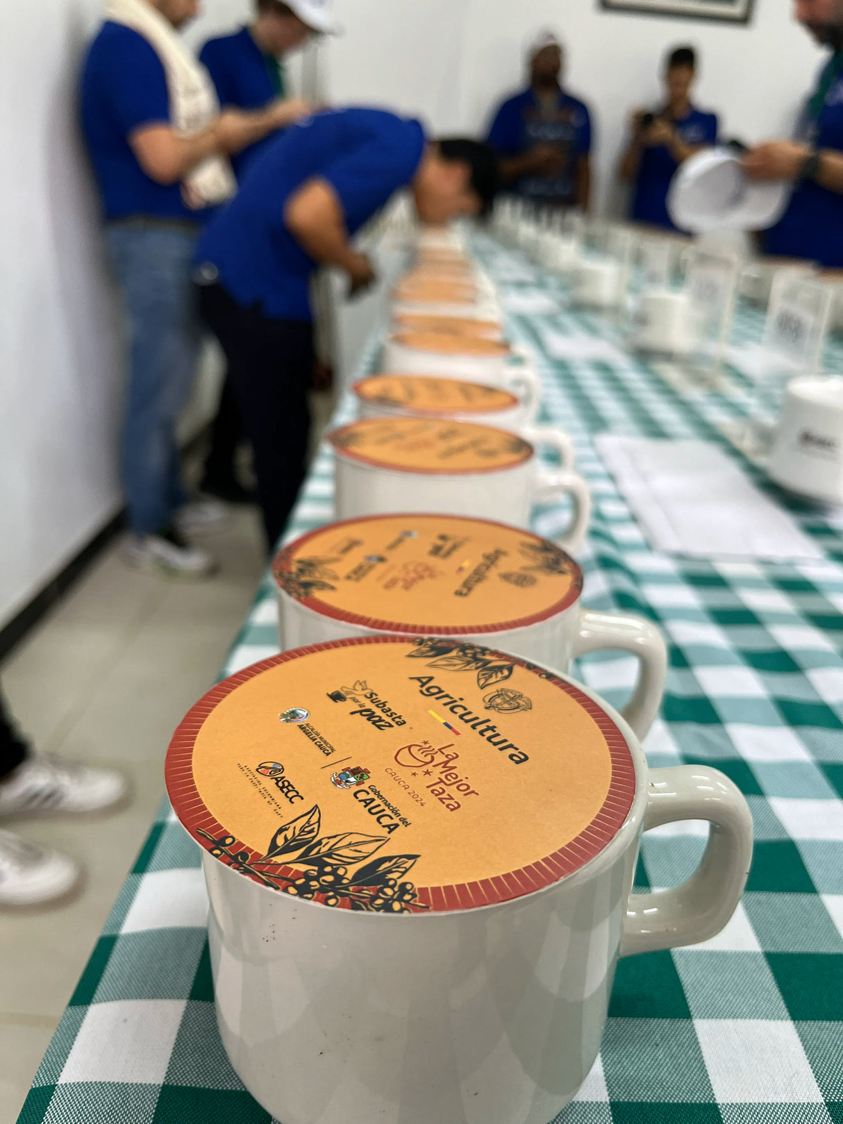 ARMANDO FERNÁNDEZ, Washed Gesha