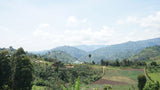BUKONZO DREAM, Natural