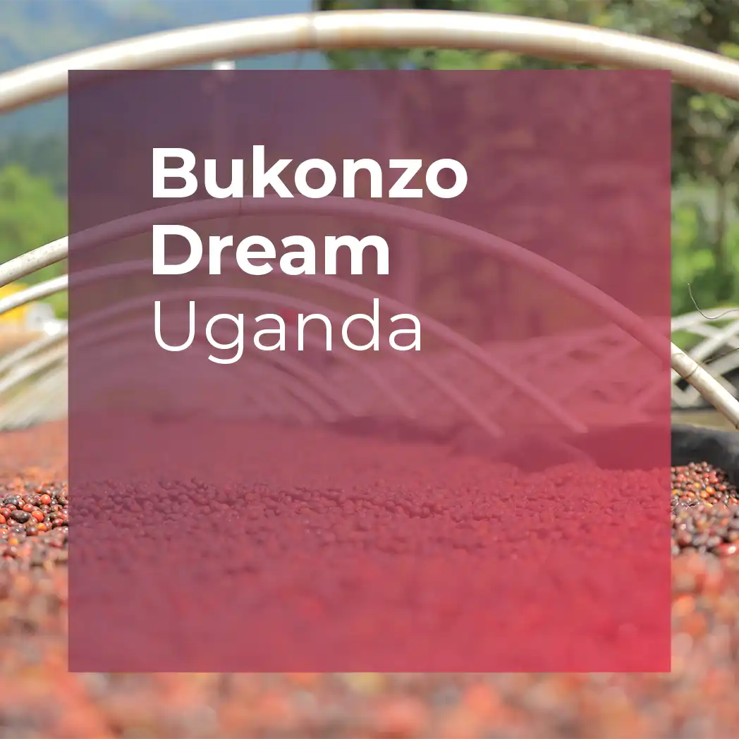 BUKONZO DREAM, Natural