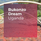 BUKONZO DREAM, Natural