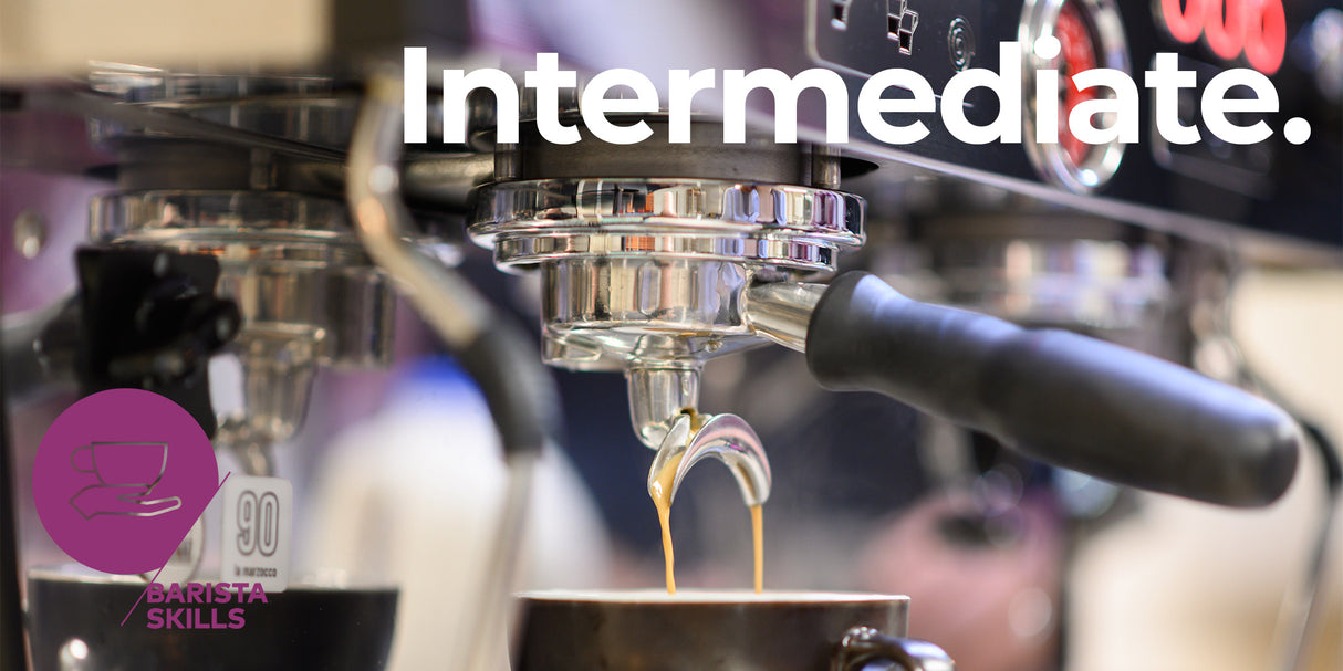 SCA Barista Skills Intermediate