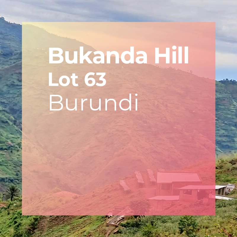 Photo of Bukanda Hill Lot 63 Fully Washed