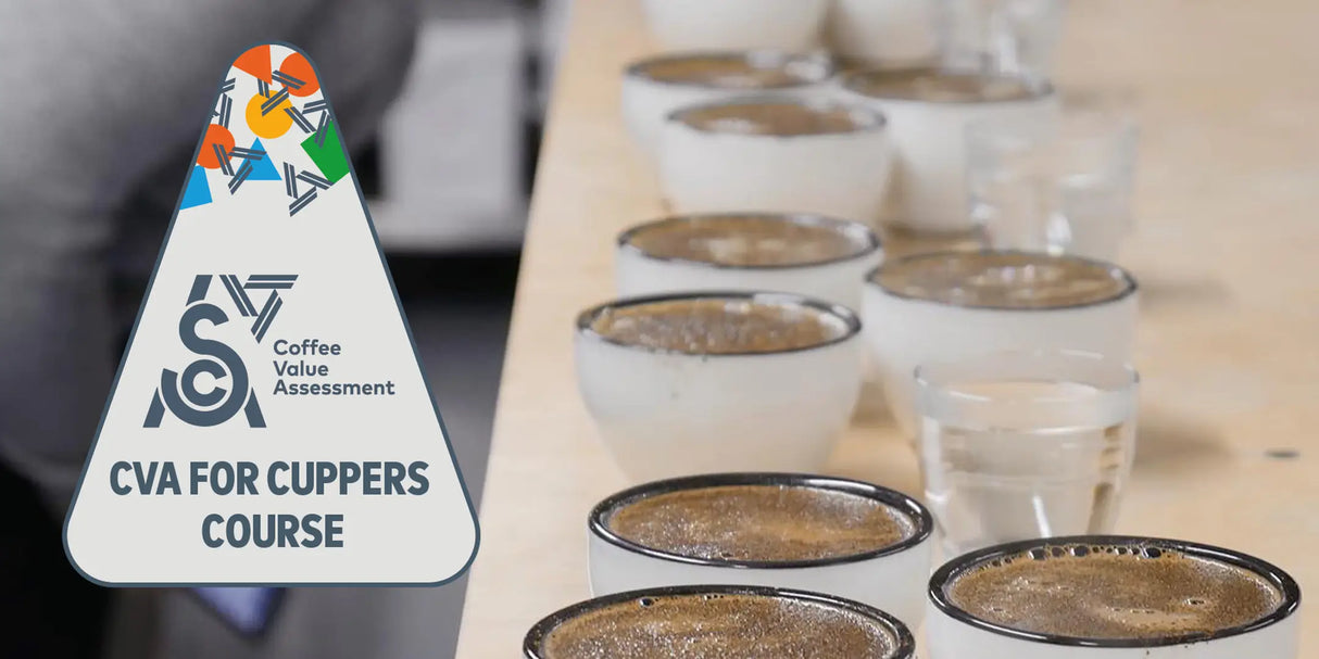 Coffee Value Assessment (CVA) for Cuppers Course
