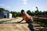 MALAWO, Sidama Washed