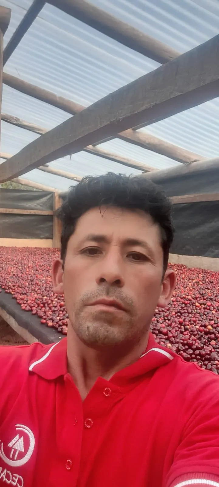 Demostenes Tantalean with beautiful red coffee cherries drying on his farm in Peru