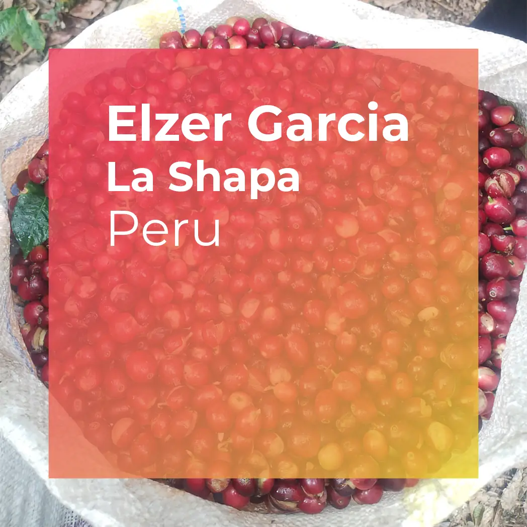 Photo of ELZER GARCIA, La Shapa Washed Caturra