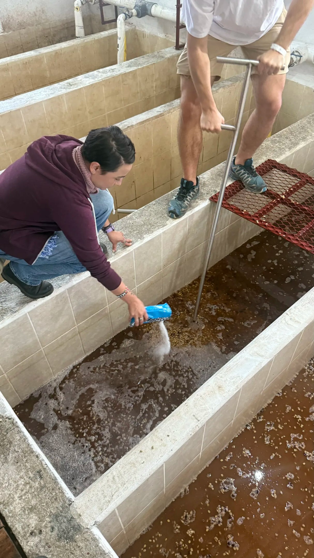 Lucia Solis adding Lactobacillus to a coffee fermentation tank in Guatemala