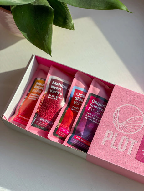 The Filter Collection