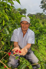 Franco Huaches iwith his SL9 coffee trees on La Lacuma farm, Peru