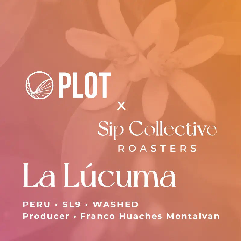 Photo of LIMITED EDITION: FRANCO HUACHES, SL9 (Inca Gesha)