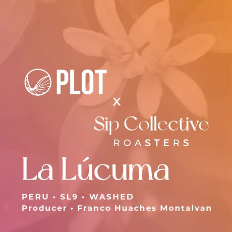 Thumbnail image for Franco Hauches, La Lacuma SL9