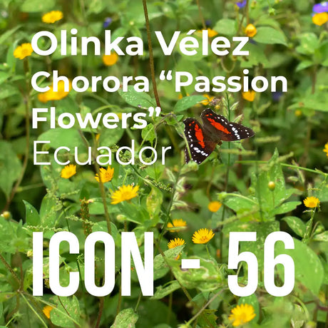 ICON Series Subscription