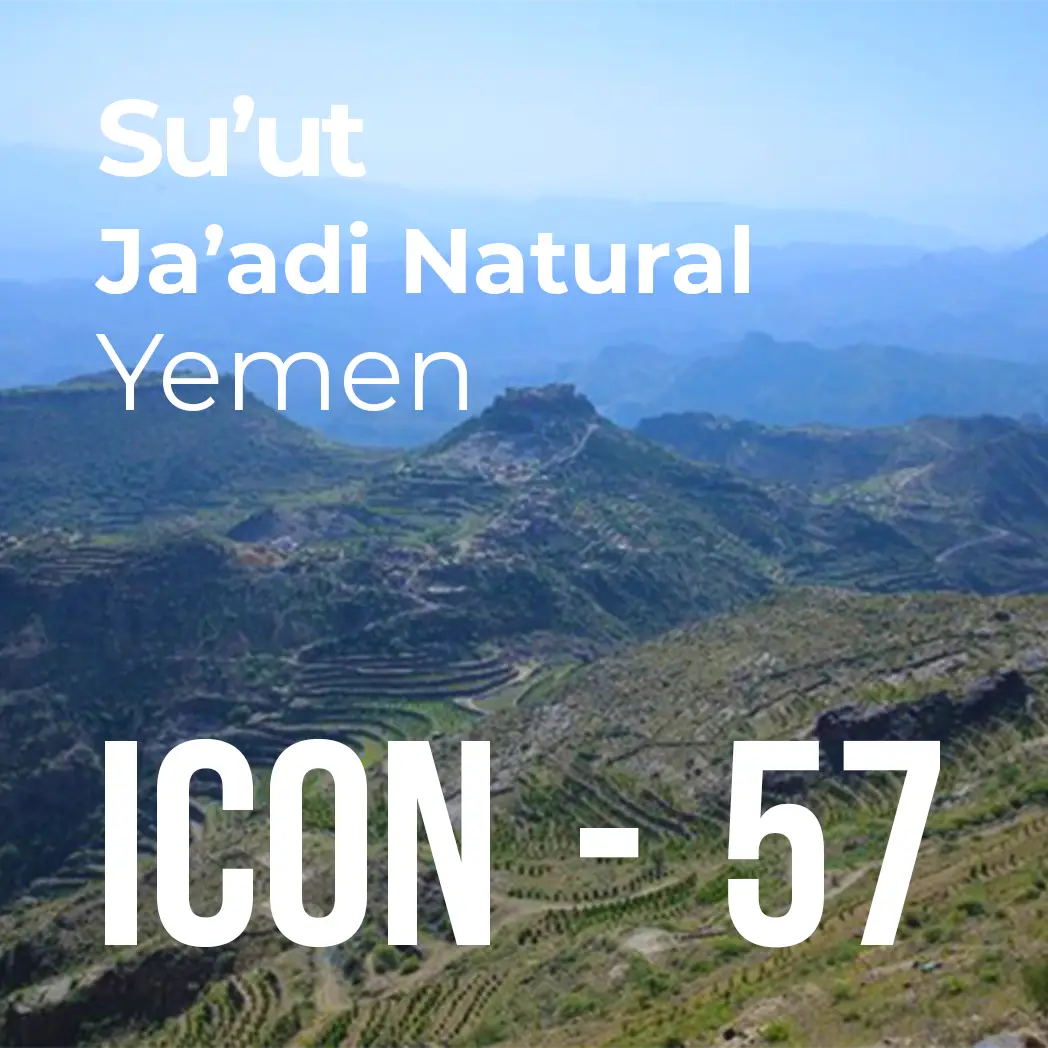 ICON Series Subscription