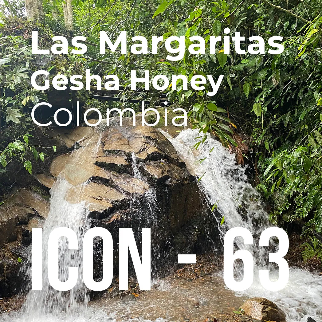 ICON Series Subscription