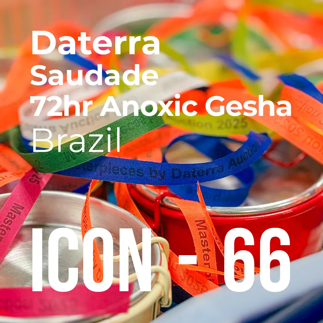 ICON Series Subscription