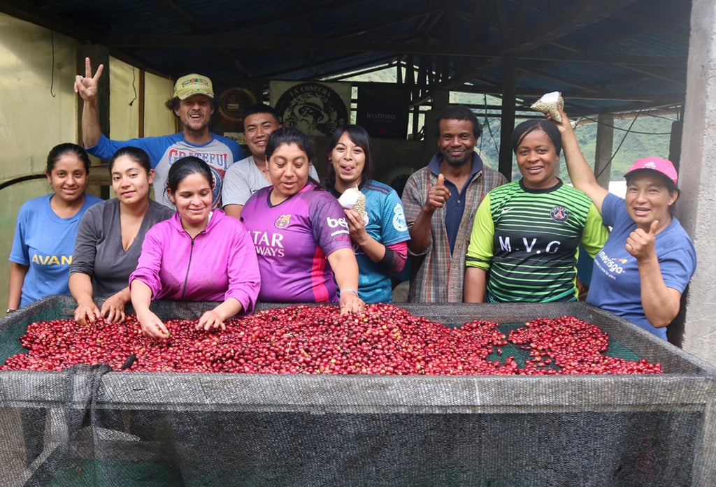 Pepe Jijon on his coffee farm, with his team standing in front of ripe coffee cherries a