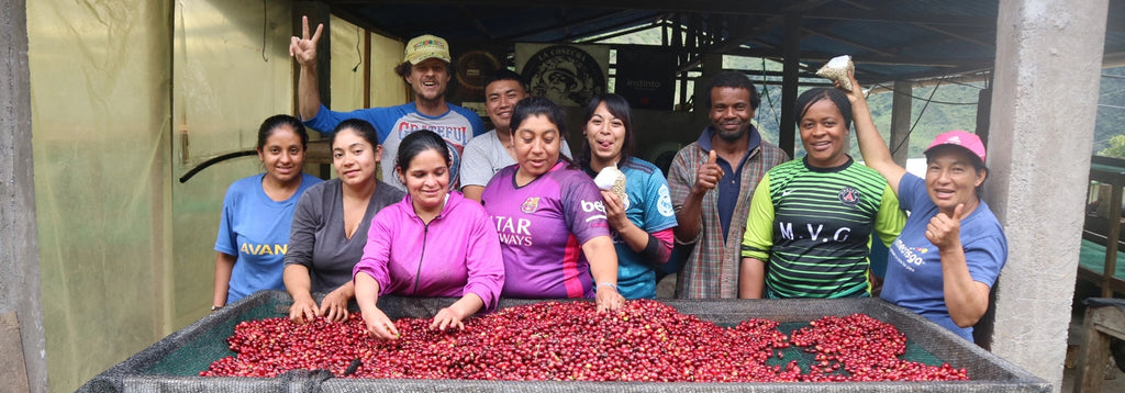 Pepe Jijon on his coffee farm, with his team standing in front of ripe coffee cherries a