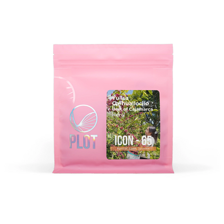 Packaging image for Yulisa Carhuallocllo, Washed Gesha, Best of Cajamarca, Peru - ICON 65