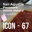 Thumbnail image for ICON 67, San Agustin Pacamara Anoxic Natural
