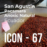Thumbnail image for ICON 67, San Agustin Pacamara Anoxic Natural