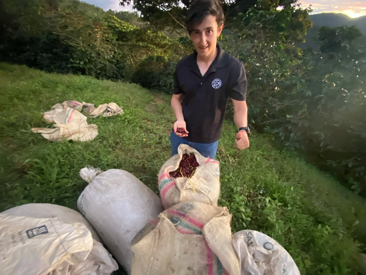 EL VERGEL “CONDOR” Decaf
