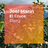 Thumbnail for Joel Marin, El Cruce Natural Gesha, Peru