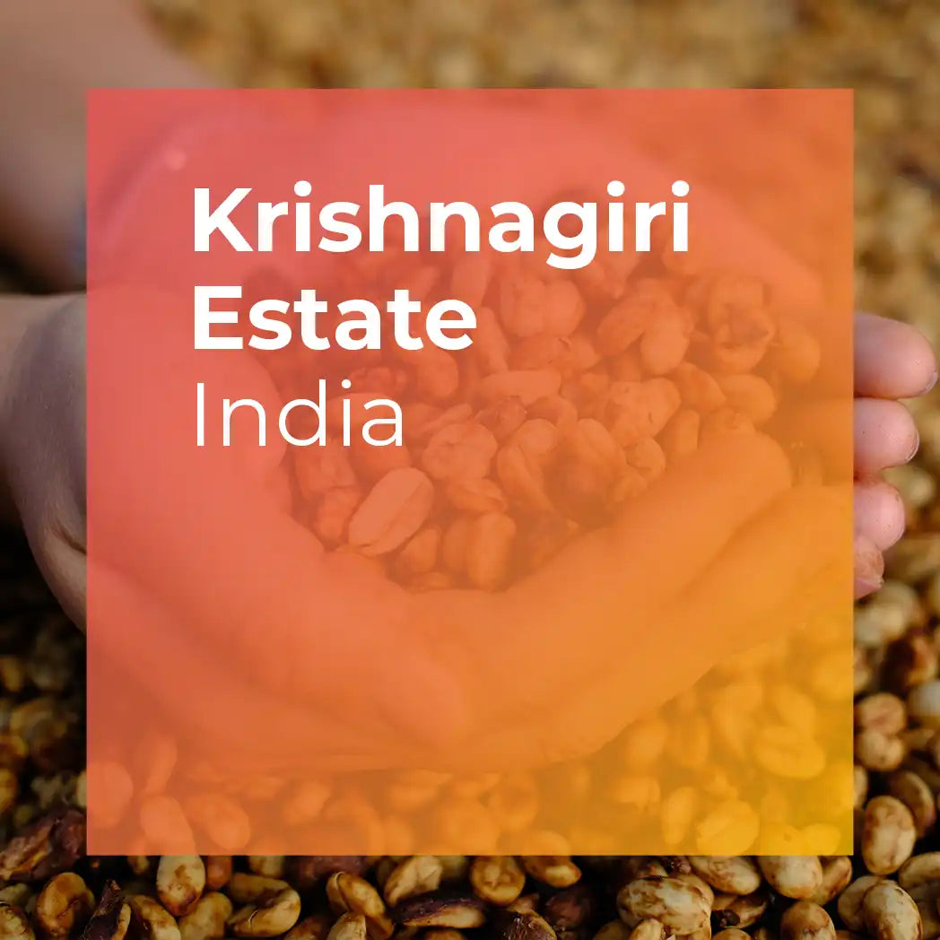 KRISHNAGIRI ESTATE, Honey Sun-dried