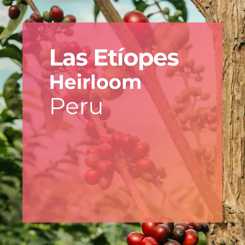 Photo of LAS ETÍOPES, Ethiopian Varieties - 200g