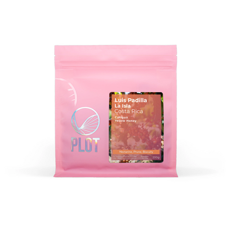 LUIS PADILLA, La Isla Catiguá